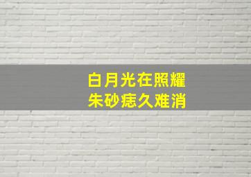 白月光在照耀 朱砂痣久难消